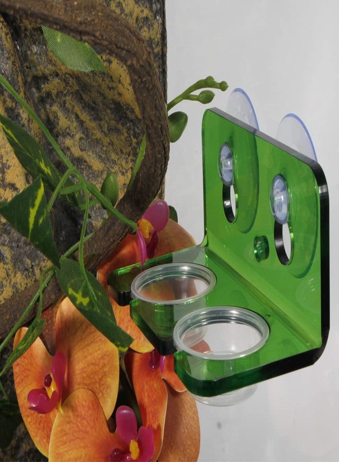 WOLEDOE Crested Gecko Feeding Ledge with 10 Pcs 0.5oz Bowls, Reptile Food Cups and Water Dish fit Chameleon Lguana Lizards - Image 5